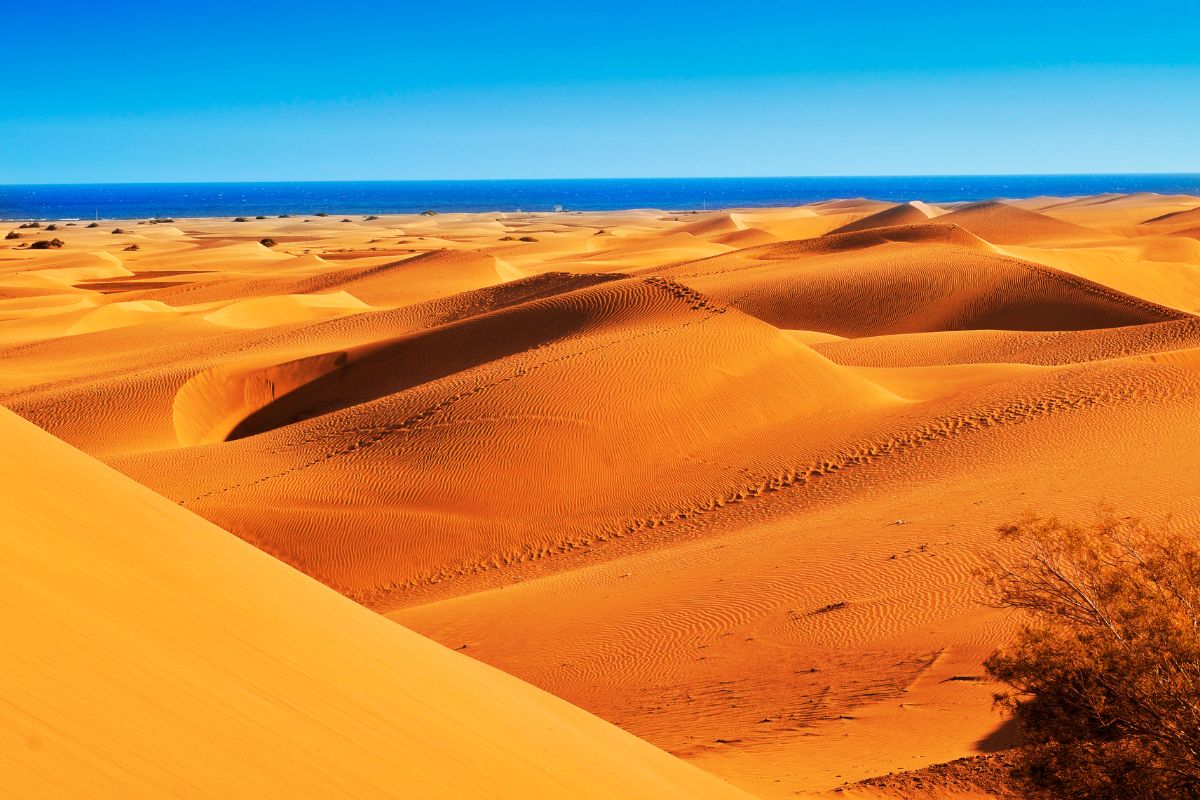 Dunas de Maspalomas, Gran Canaria